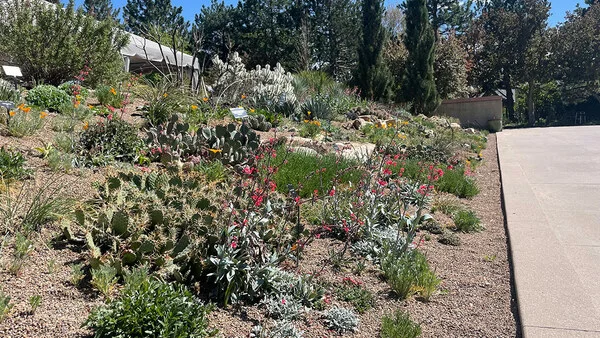 GPOD в пути: Денверский ботанический сад весной - Fine Gardening