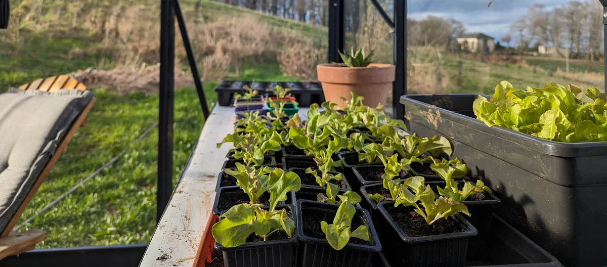 Посевы февраля в огороде | Terra Potager