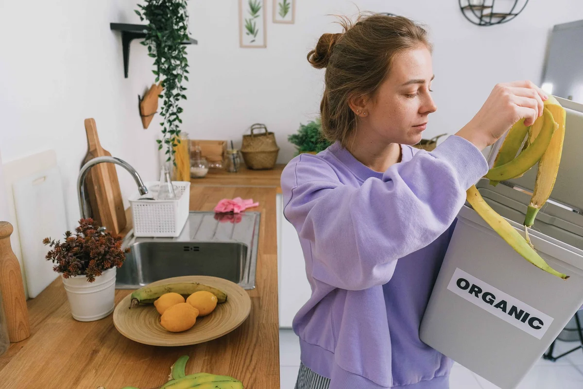 Преобразуйте кухонные отходы в садовое золото этой зимой | SA Garden and Home