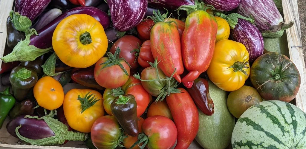 Календарь по месяцам в пермакультуре — Август