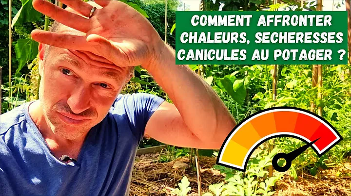 🌿 Защита растений от жары: простые методы и советы ☀️