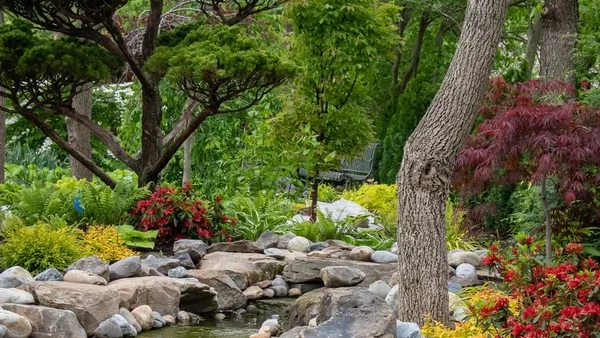 Планы посадки для лесного сада, полного текстур - Fine Gardening